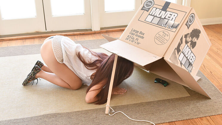 [ExxxtraSmall] - Trapped: Petite Teen Thief - Elle Voneva