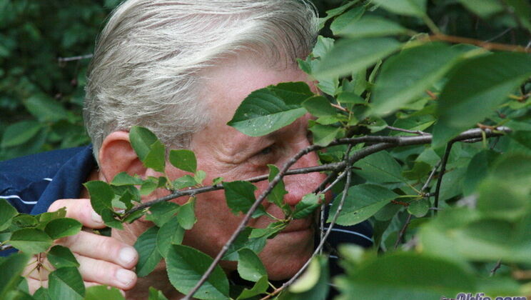 [Oldje] - Pussy Licking and Blowjob with Boobarella - Barney - Monika